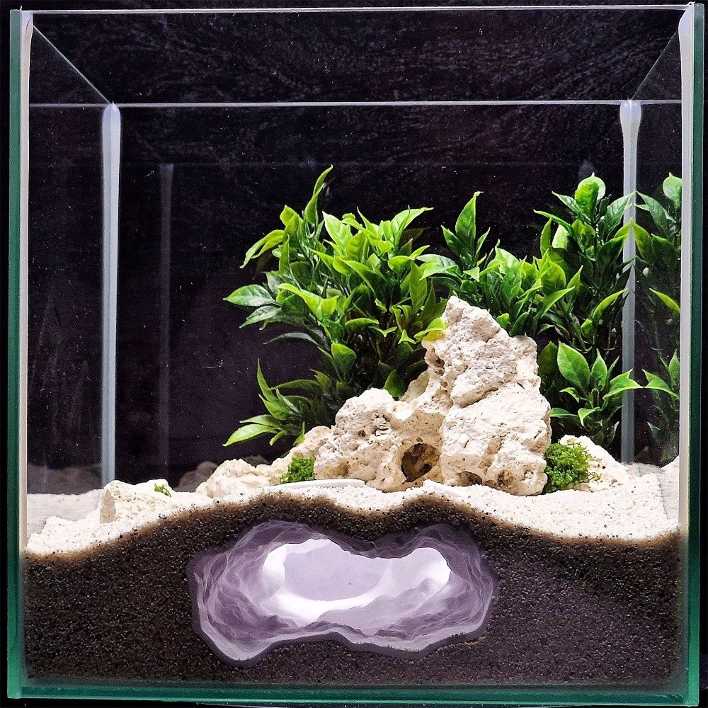 Highly Simulated Aquarium Fish - Aquarium Fish Hide のレビューと価格