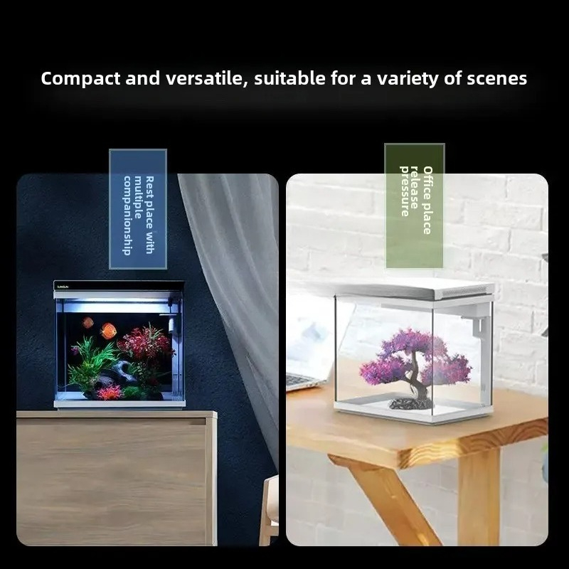 b7-  ultra-white glass small f - Aquarium Fish Without Oxygen のレビューと価格