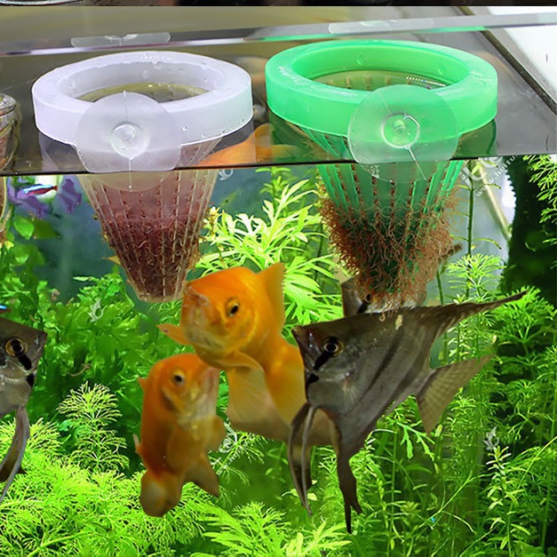 5Pcs Aquarium Red Worm Feeder  - Aquarium Fish Feeder のレビューと価格
