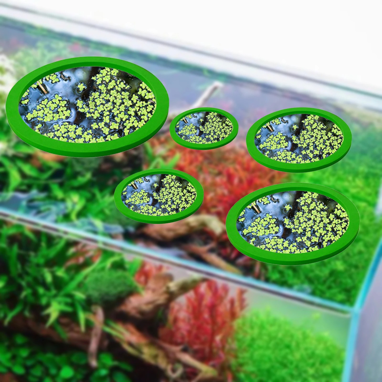 5Pcs EVA Fish Feeding Ring Aqu - Aquarium Fish Pond のレビューと価格