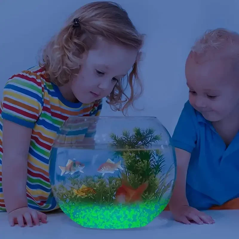1000pcs 3-5mm Luminous Sand Gl - Aquarium Fish Saltwater のレビューと価格