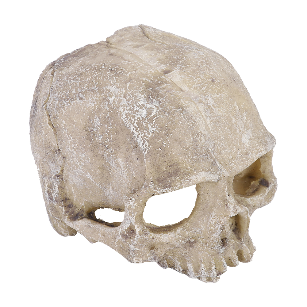 Resin Simulated Head Bone Skul - Aquarium Fish Hide のレビューと価格