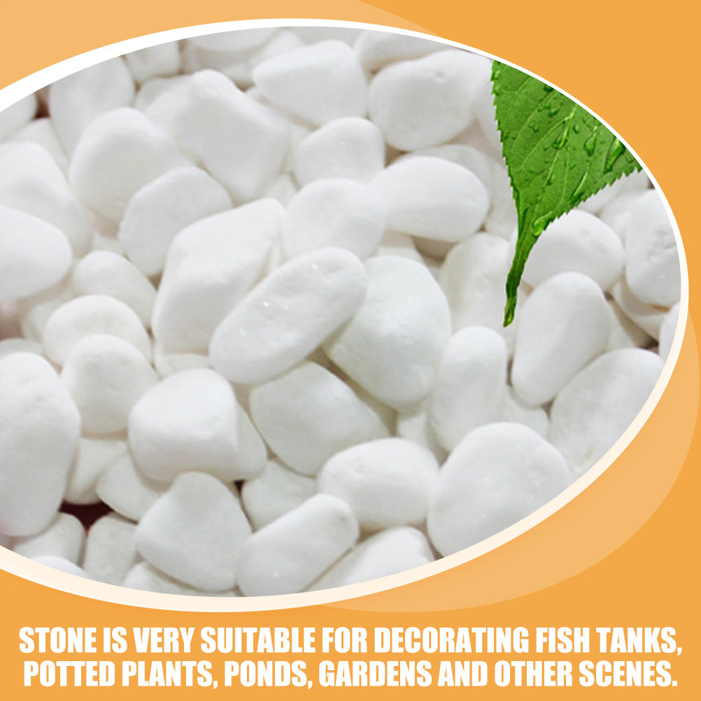 1Set White Decorative Stone El - Aquarium Fish Saltwater のレビューと価格