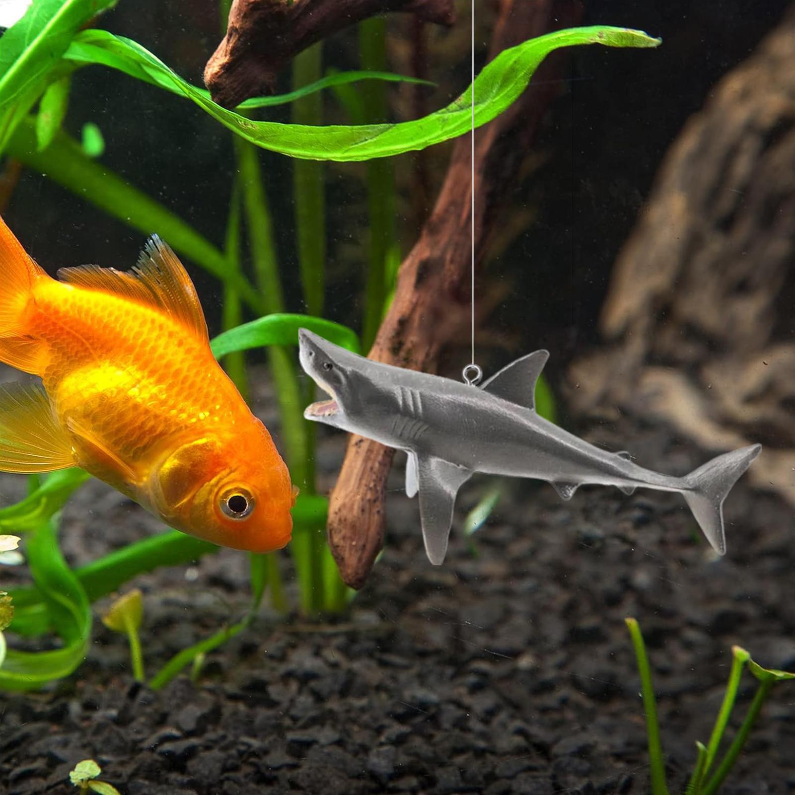 Floating Shark Aquarium Landsc - Aquarium Fish Shark のレビューと価格
