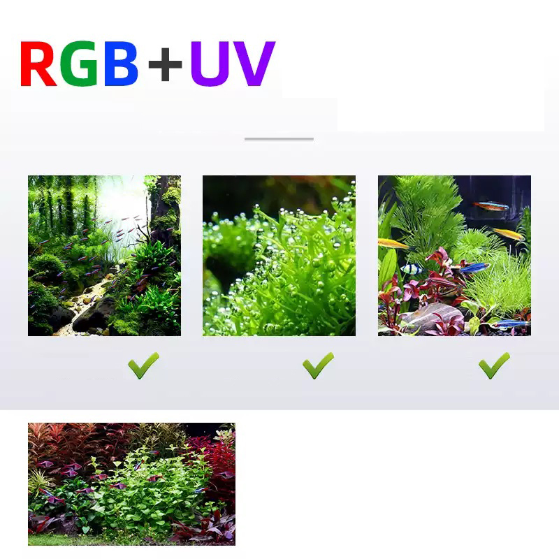 Led Lighting 60cm 80cm 90cm RG - Aquarium Fish For Sale のレビューと価格