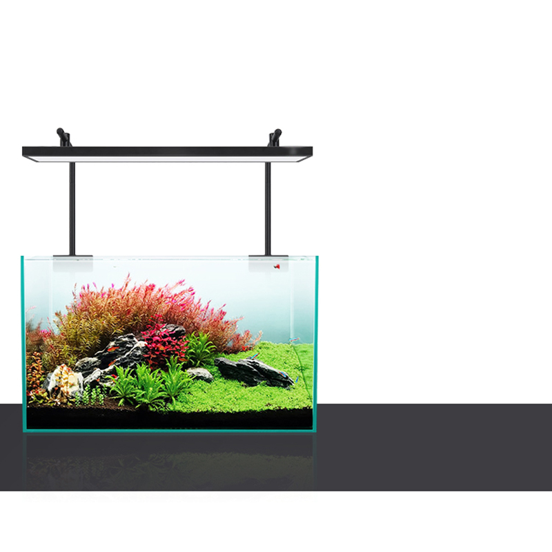 Led Lighting 60cm 80cm 90cm RG - Aquarium Fish For Sale のレビューと価格