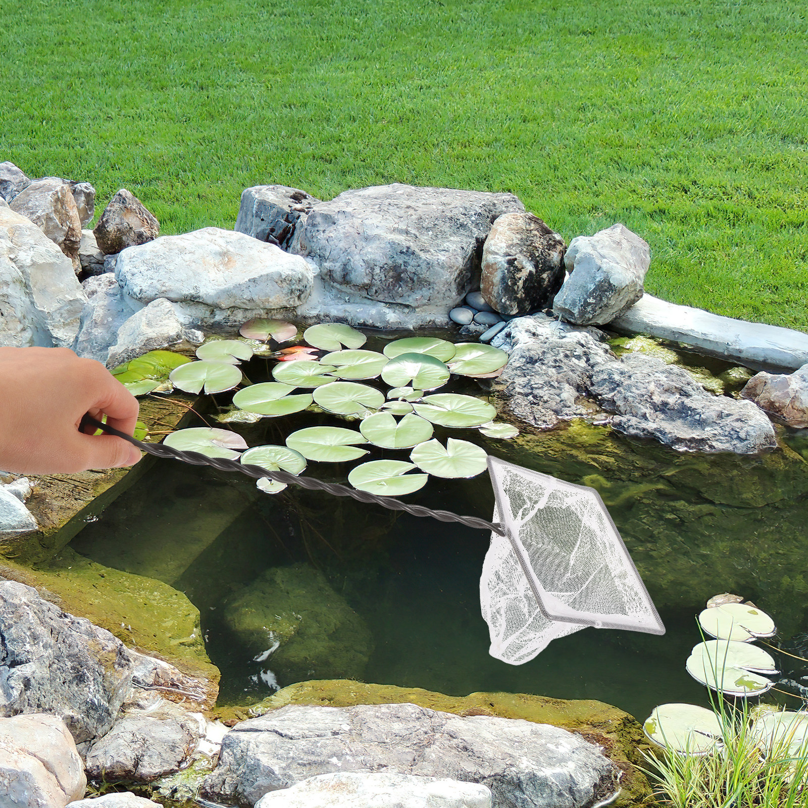 Professional Lightweight Fishi - Aquarium Fishland のレビューと価格