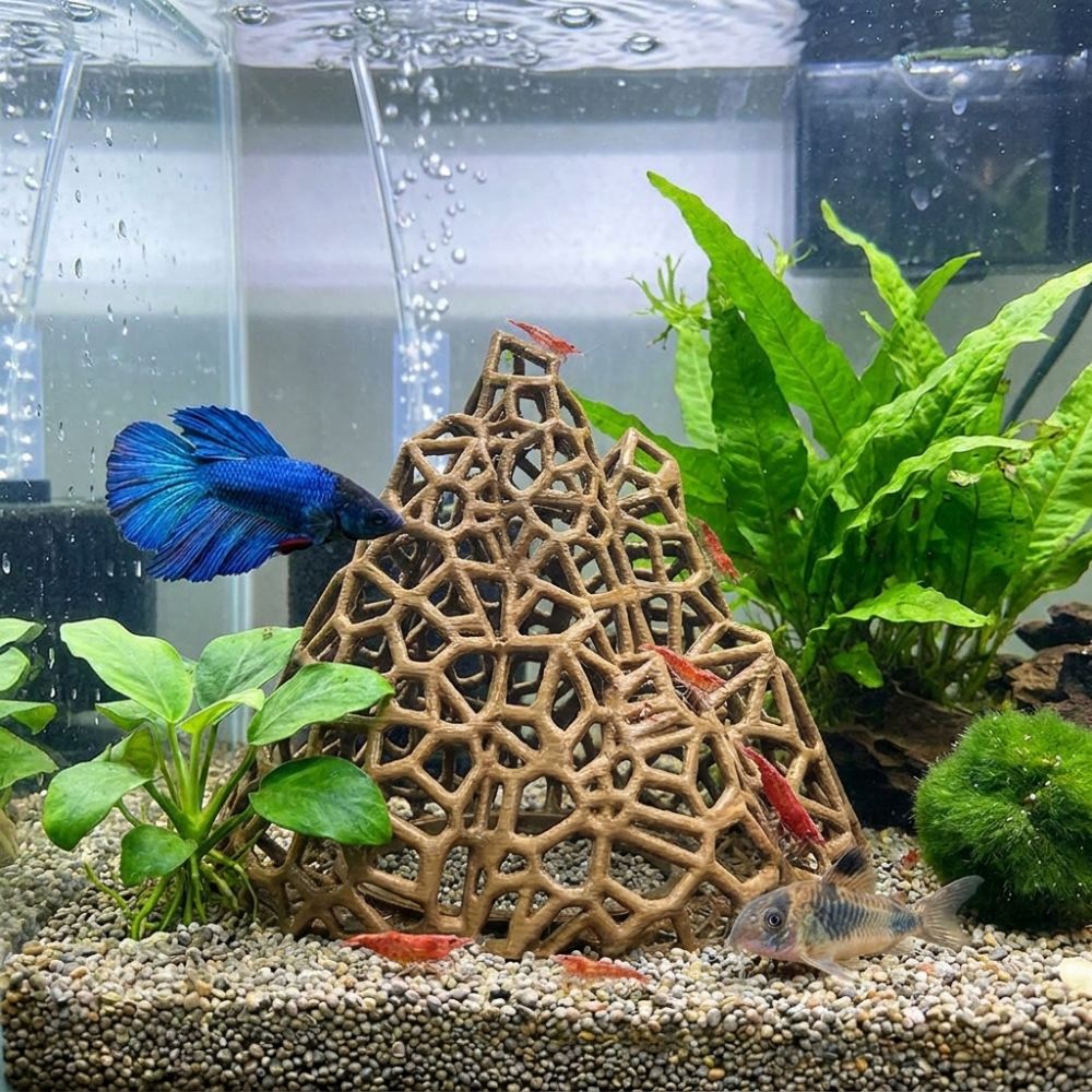 3D Printed Fish Shrimp Hideout - Aquarium Fish Hide のレビューと価格