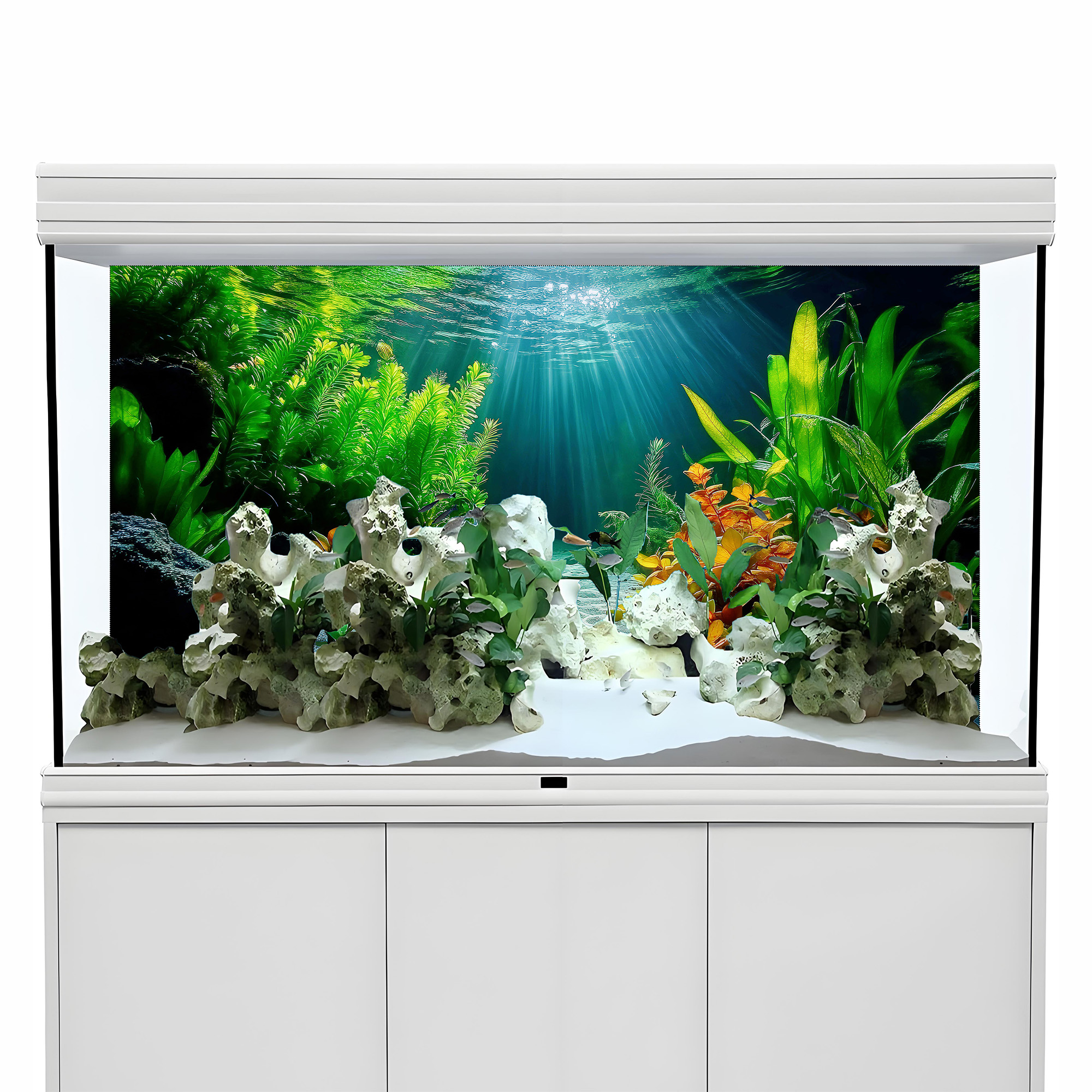 Colorful Aquatic Plant Paradis - Aquarium Fish Paradise のレビューと価格