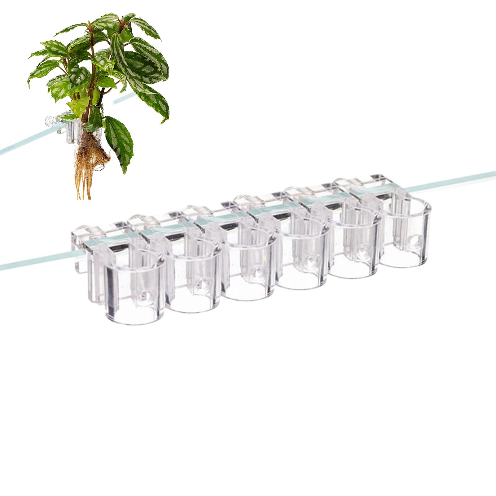 Mini Fish Tank Planter Pot 6Pc - Aquarium Fish Feeder のレビューと価格