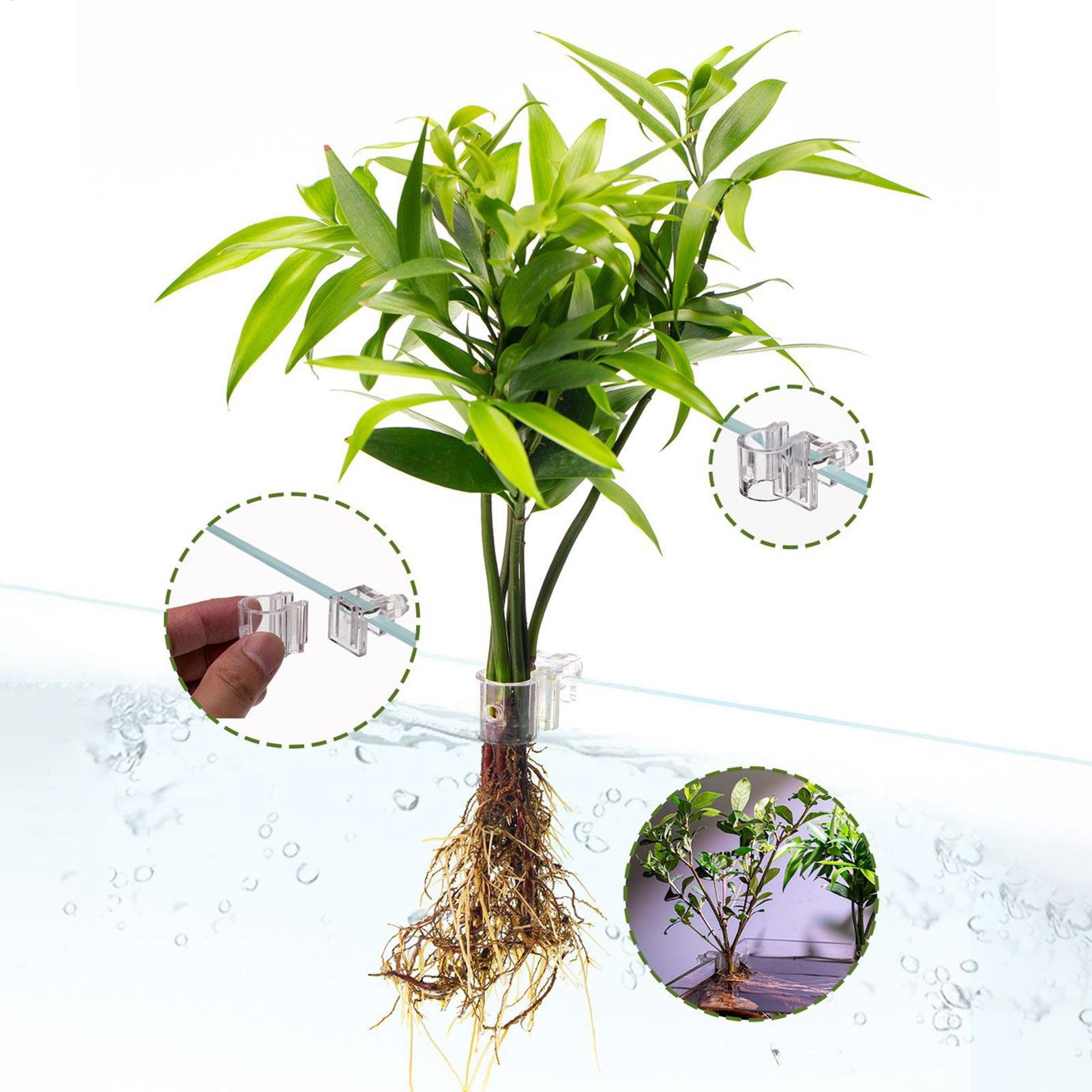 Mini Fish Tank Planter Pot 6Pc - Aquarium Fish Feeder のレビューと価格