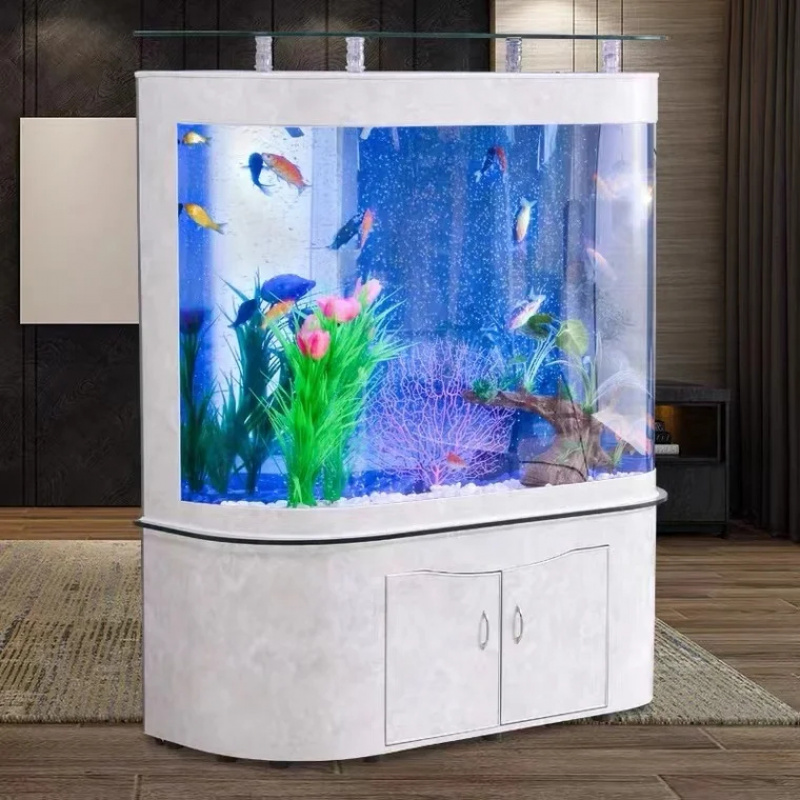 custom.Customized Fish 300 Gal - Aquarium Fish Saltwater のレビューと価格