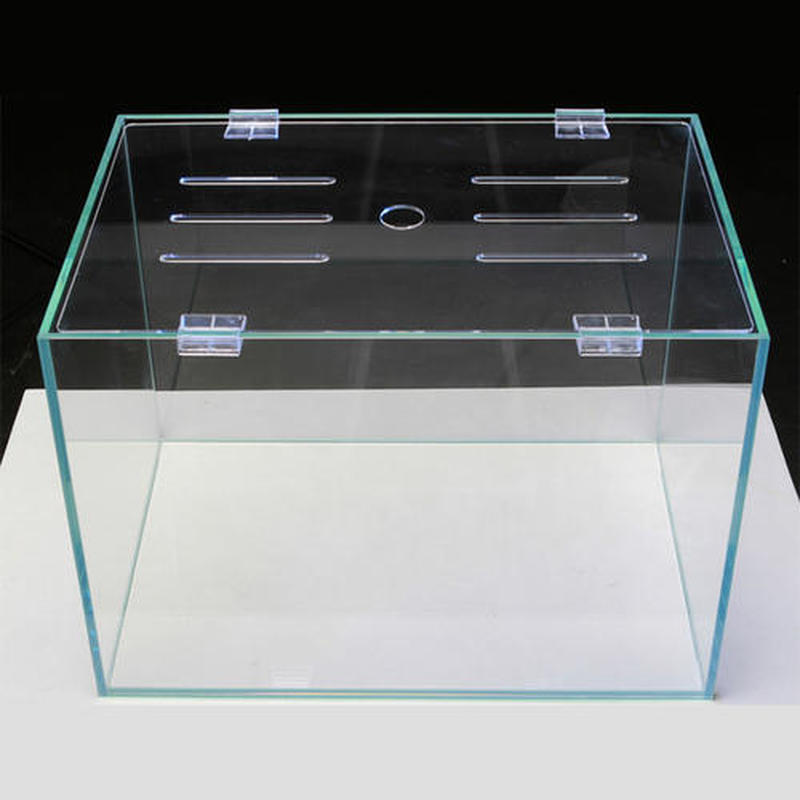 4pcs 6mm/8mm/10mm Fish Tank Ac - Aquarium Fish Elevator のレビューと価格