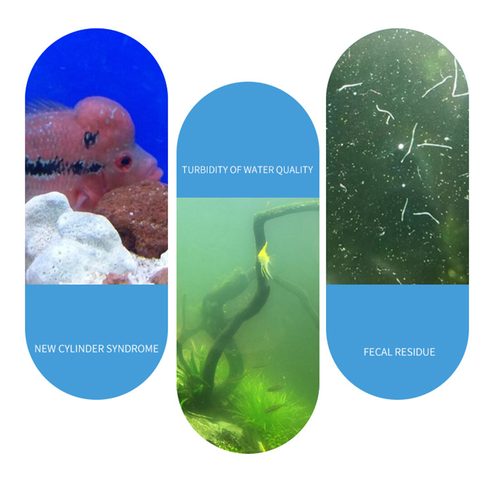 Aquarium Nitrifying Nitrobacte - Aquarium Fish Vitamin のレビューと価格