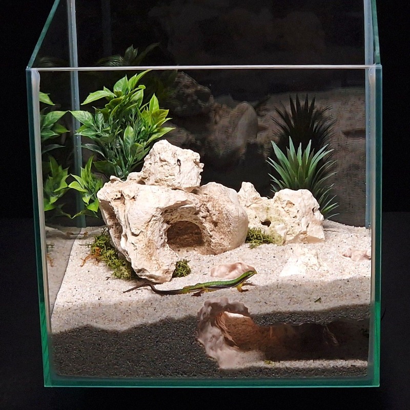 3DPrinted Fish Tank Tunnel She - Aquarium Fish Hide のレビューと価格