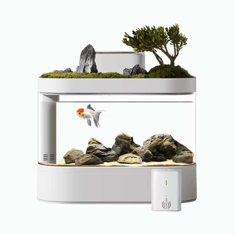 Desktop Smart Aquarium Fish Ta - Aquarium Fish Feeder のレビューと価格