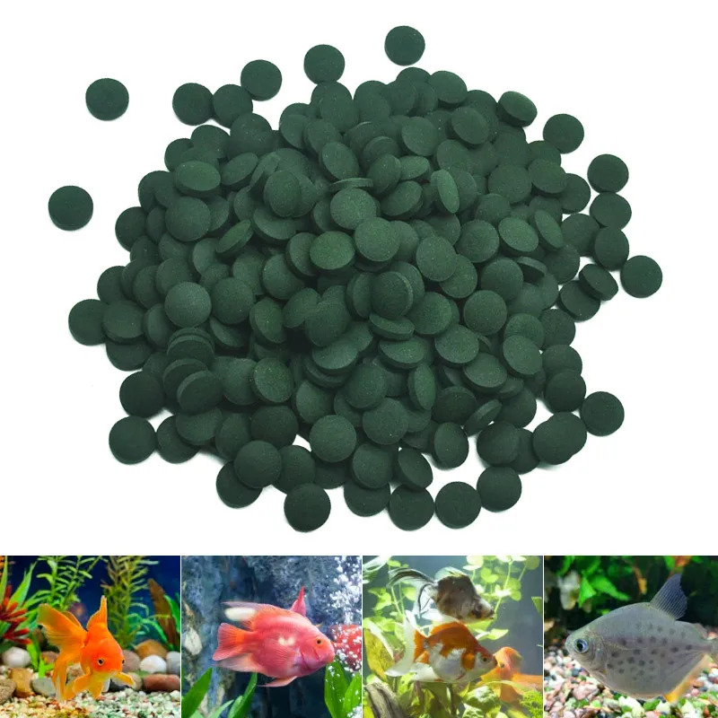 50-300Pcs High Purity Spirulin - Aquarium Fish Vitamin のレビューと価格