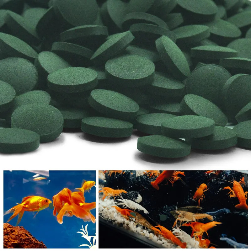 50-300Pcs High Purity Spirulin - Aquarium Fish Vitamin のレビューと価格