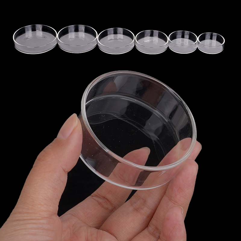 Shrimp Feeding Dish High Trans - Aquarium Fish Feeder のレビューと価格