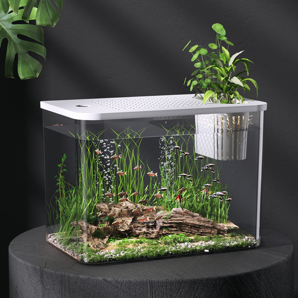 PET+ABS Fish Tank Transparent  - Aquarium Fish For Sale のレビューと価格
