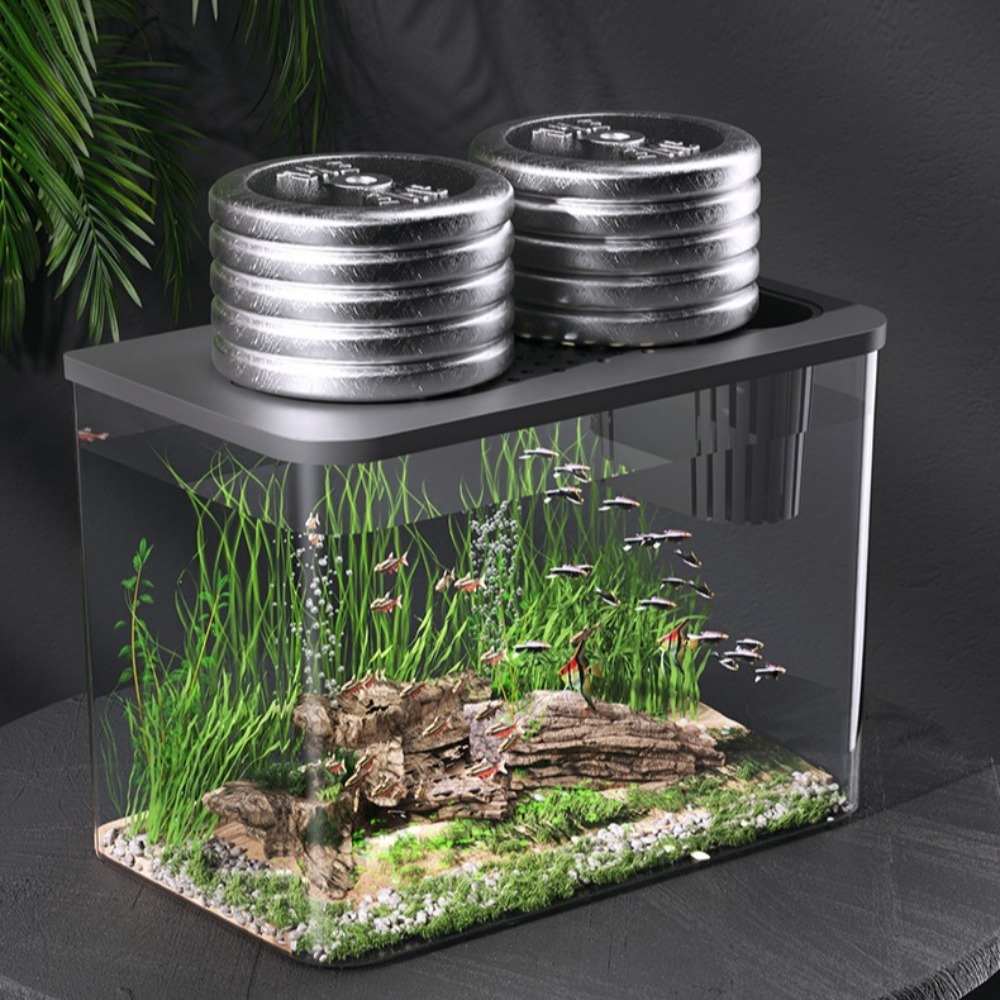 PET+ABS Fish Tank Transparent  - Aquarium Fish For Sale のレビューと価格