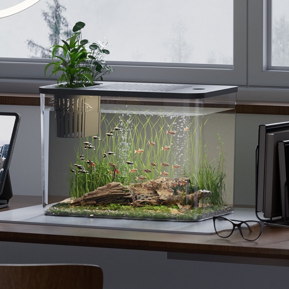 PET+ABS Fish Tank Transparent  - Aquarium Fish For Sale のレビューと価格