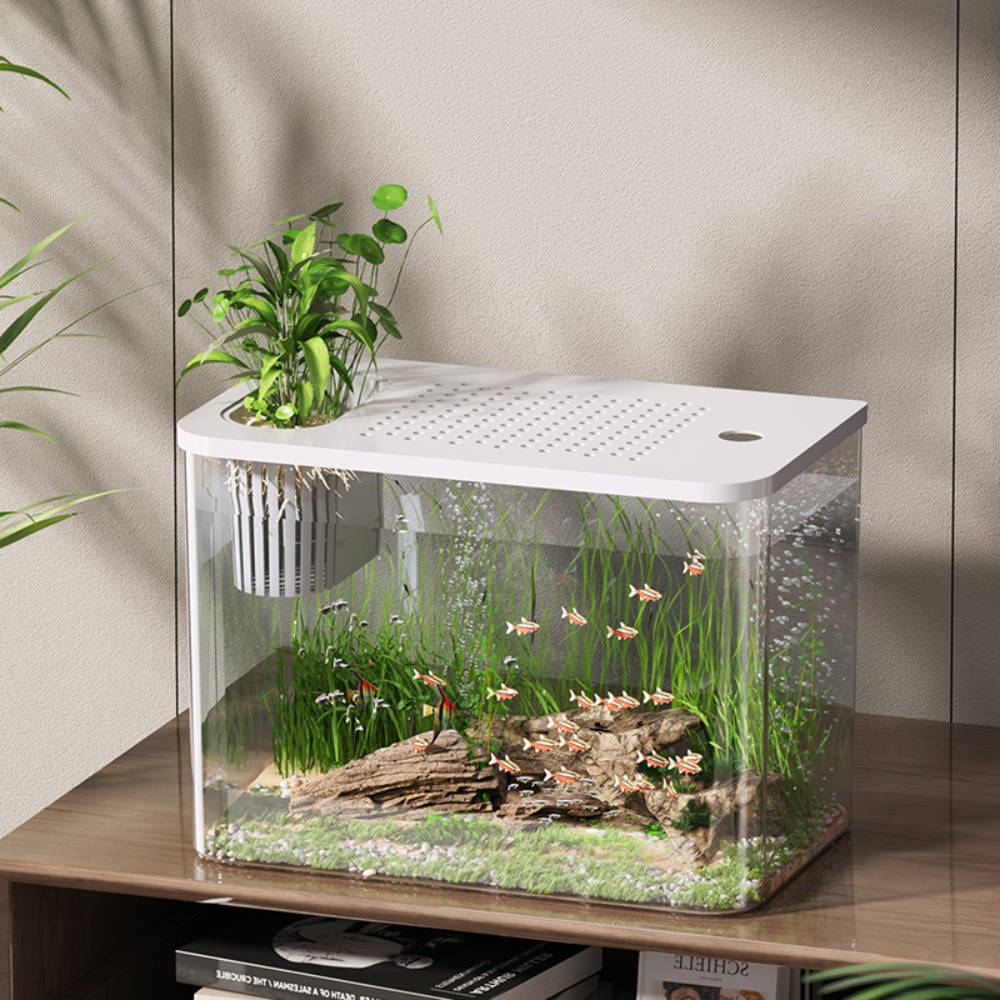 PET+ABS Fish Tank Transparent  - Aquarium Fish For Sale のレビューと価格