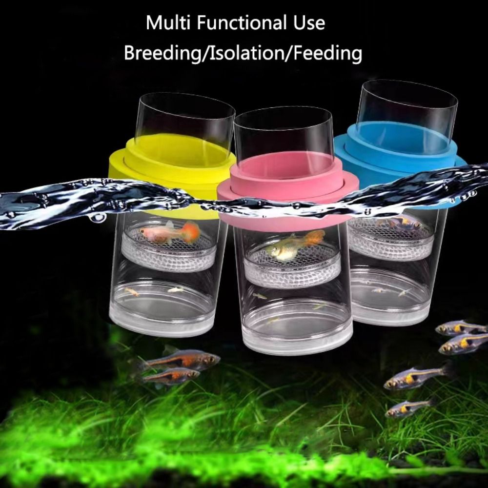 Plastic Floating Fish Breeding - Aquarium Fish Feeder のレビューと価格