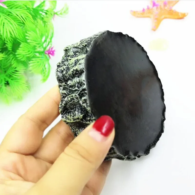 Pet Reptile Feeder Bowl Resin  - Aquarium Fish Feeder のレビューと価格
