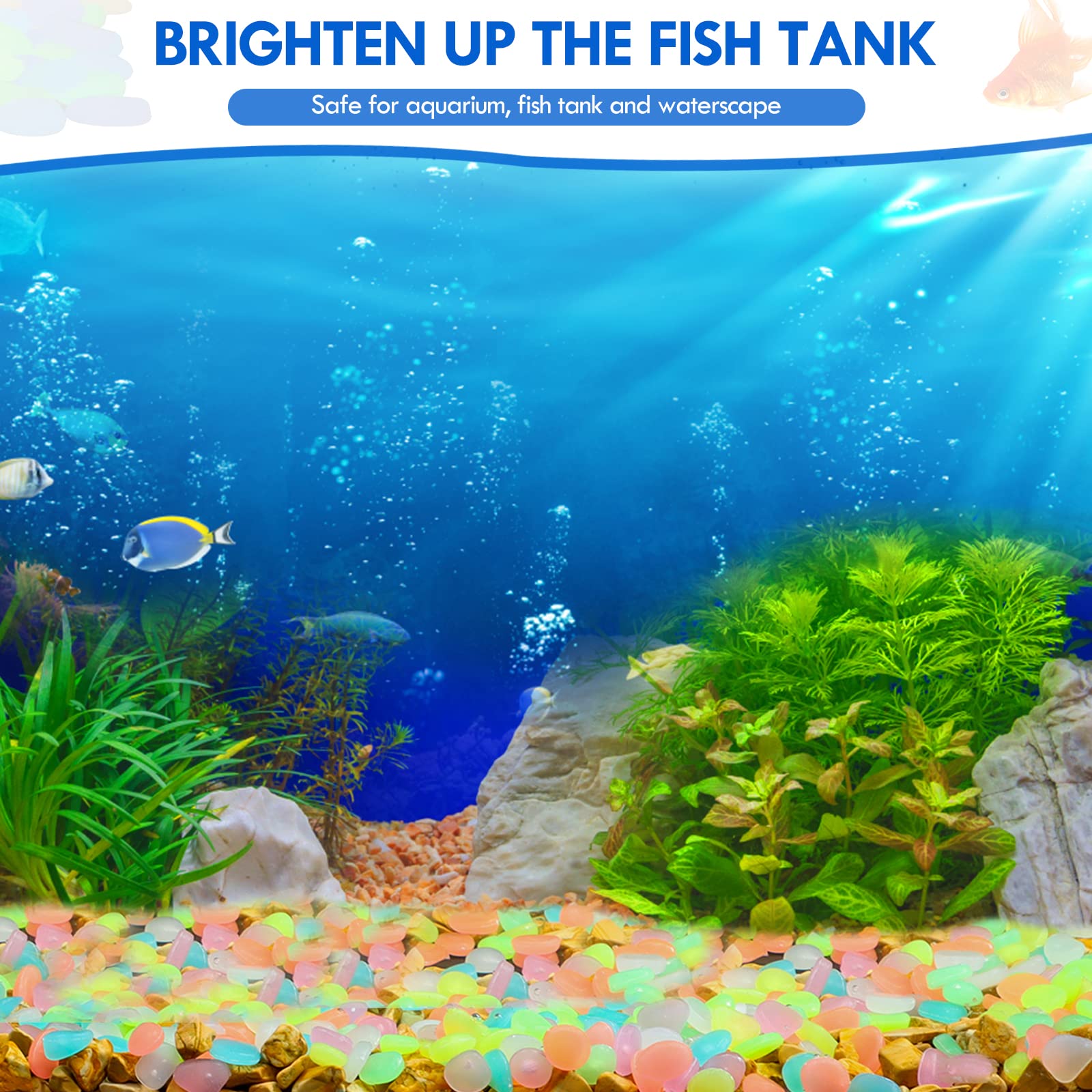 100Pcs Glow in the Dark Garden - Aquarium Fish Saltwater のレビューと価格