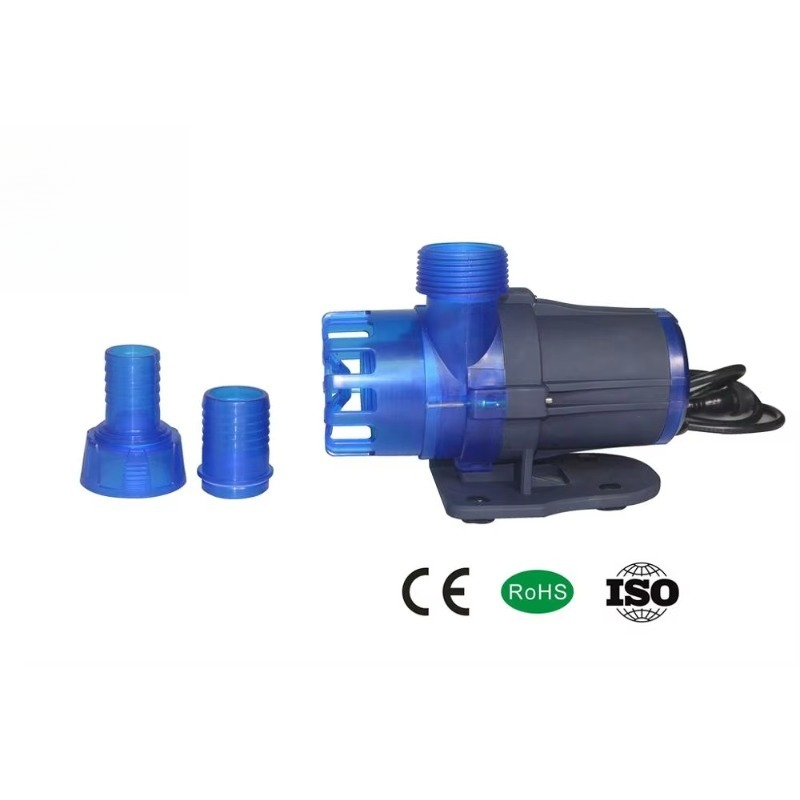 Hot Sale Extra Quiet Seawater  - Aquarium Fish For Sale のレビューと価格