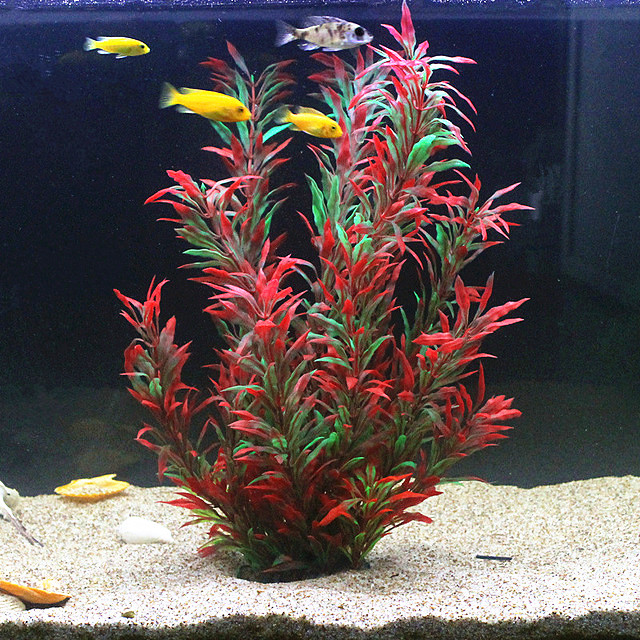 50CM Artificial Fish Tank Rare - Aquarium Fish Saltwater のレビューと価格