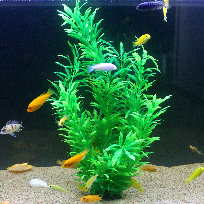 50CM Artificial Fish Tank Rare - Aquarium Fish Saltwater のレビューと価格