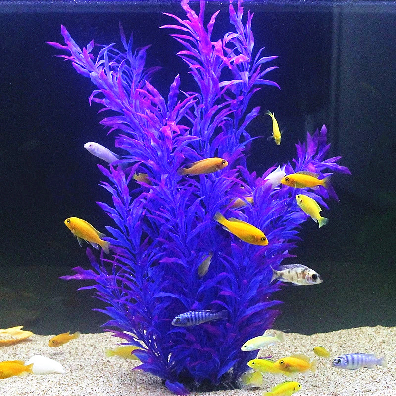 50CM Artificial Fish Tank Rare - Aquarium Fish Saltwater のレビューと価格