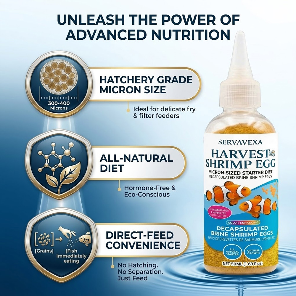 High Protein Fish Food for Bet - Aquarium Fish Vitamin のレビューと価格