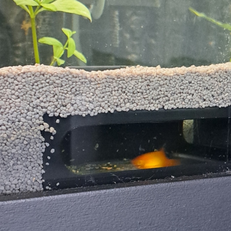 Half circle Aquarium Corner Fi - Aquarium Fish Paradise のレビューと価格