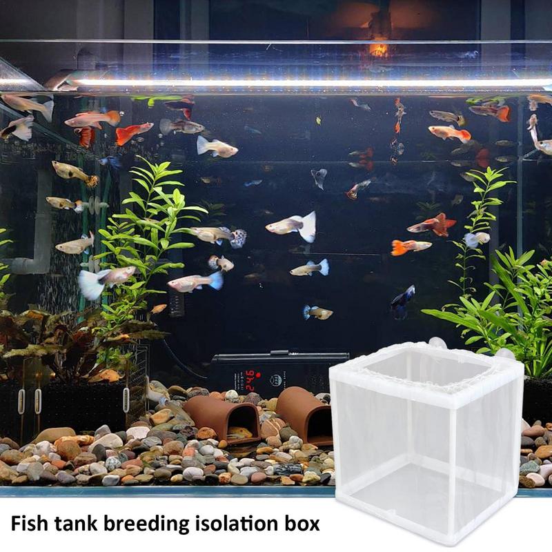 Fish Breeder Box with Suction, - Aquarium Fish For Sale のレビューと価格