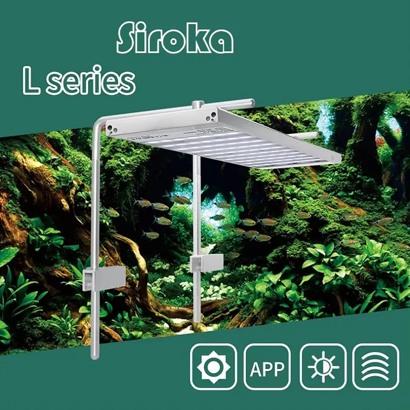 Hot Sale Silver 55W-110W Dimma - Aquarium Fish For Sale のレビューと価格