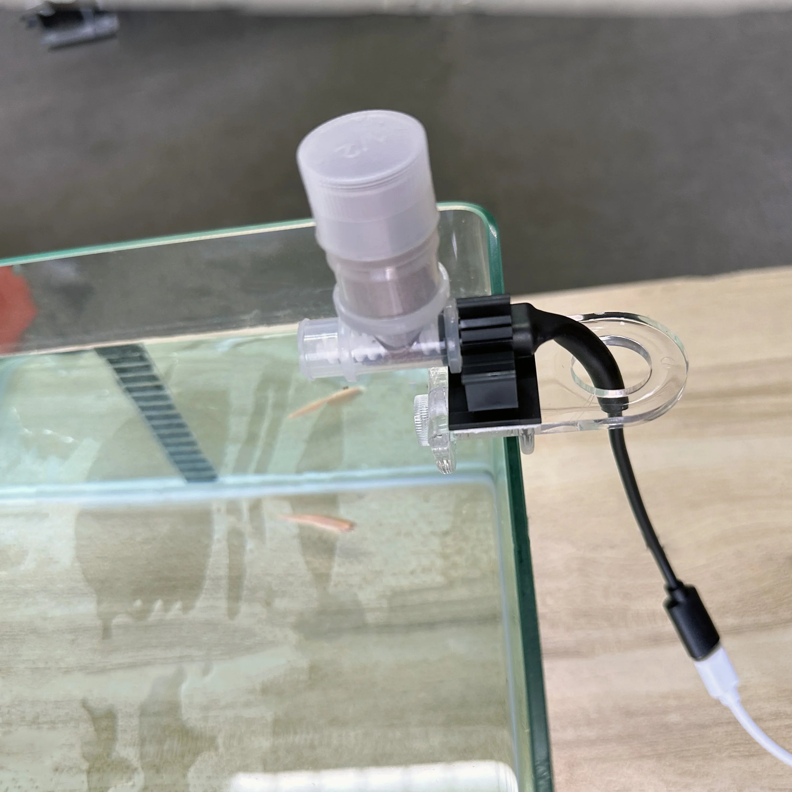 Best Automatic Fish Feeder - W - Aquarium Fish Feeder のレビューと価格