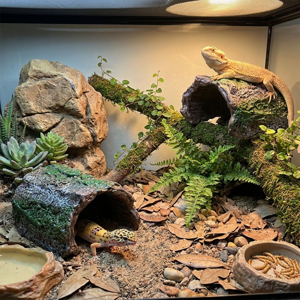 Simulation Reptile Hideout Hol - Aquarium Fish Hide のレビューと価格