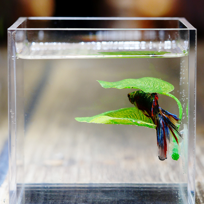 Artificial Aquarium Leaf Plant - Aquarium Fish Hide のレビューと価格
