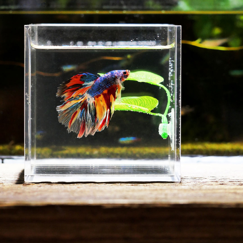 Artificial Aquarium Leaf Plant - Aquarium Fish Hide のレビューと価格