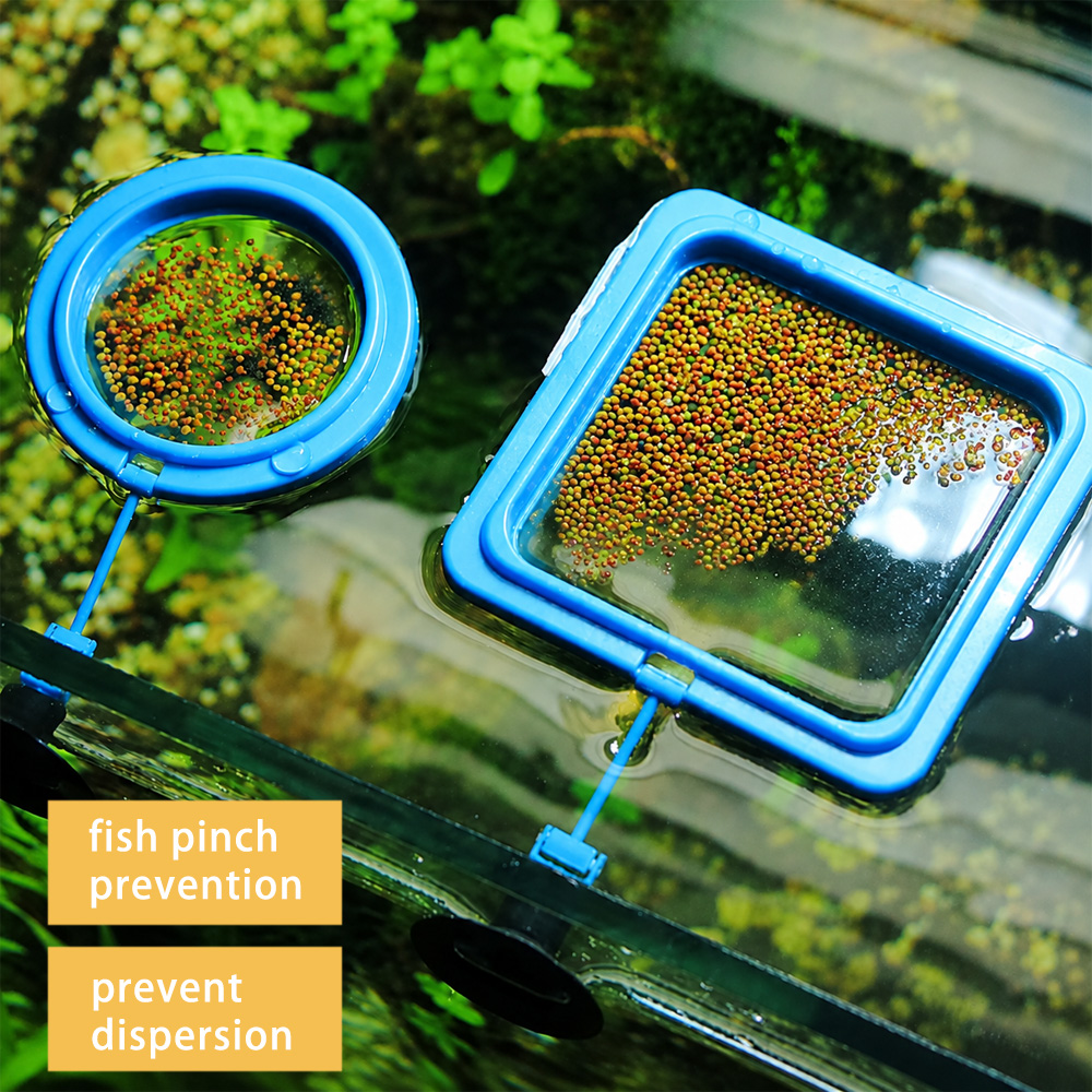 Fish Food Pellets with Floatin - Aquarium Fish Vitamin のレビューと価格