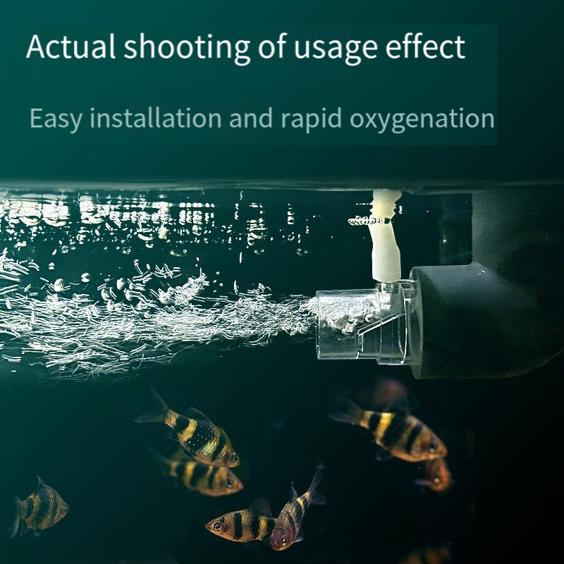 Oxygen Diffuser Pipe Filter At - Aquarium Fish Without Oxygen のレビューと価格