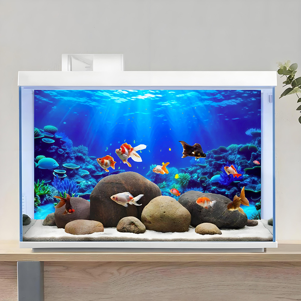 Coral Paradise, Fish Tank Back - Aquarium Fish Paradise のレビューと価格