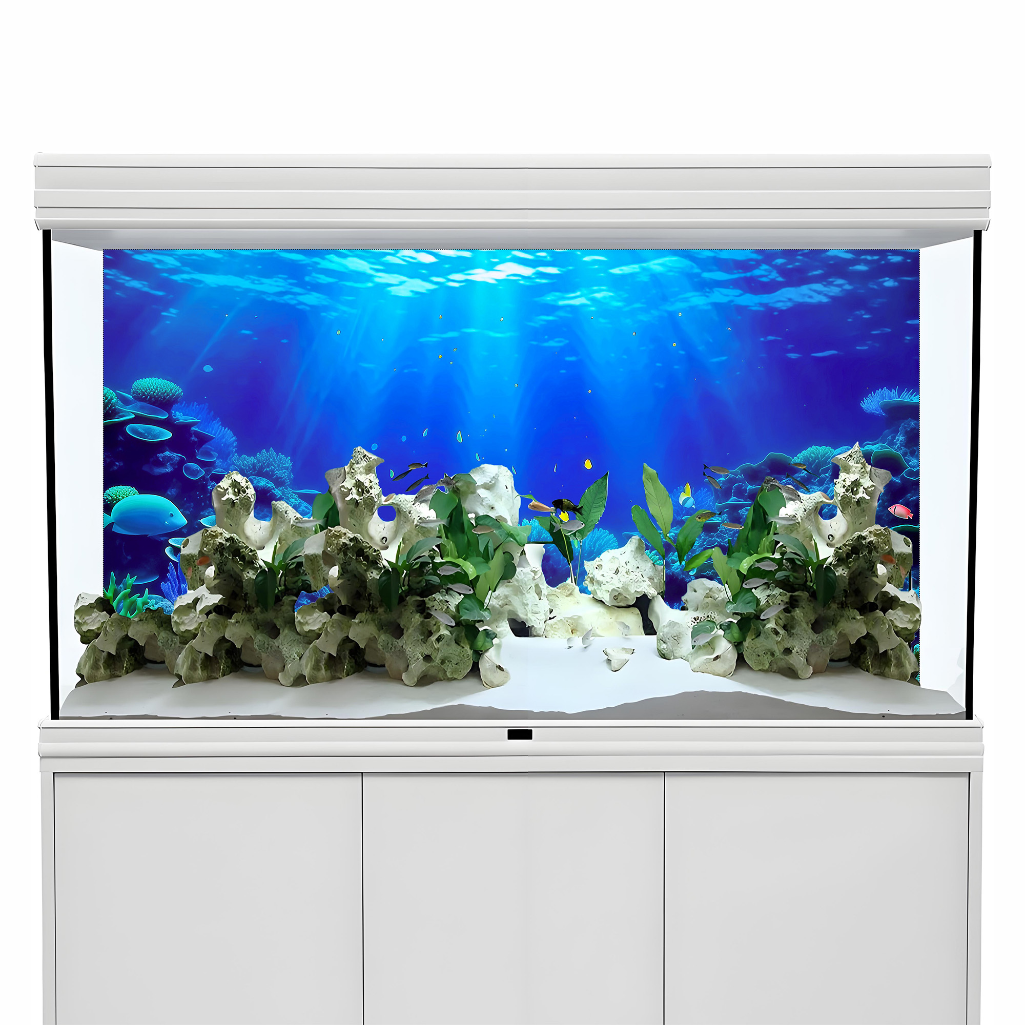 Coral Paradise, Fish Tank Back - Aquarium Fish Paradise のレビューと価格