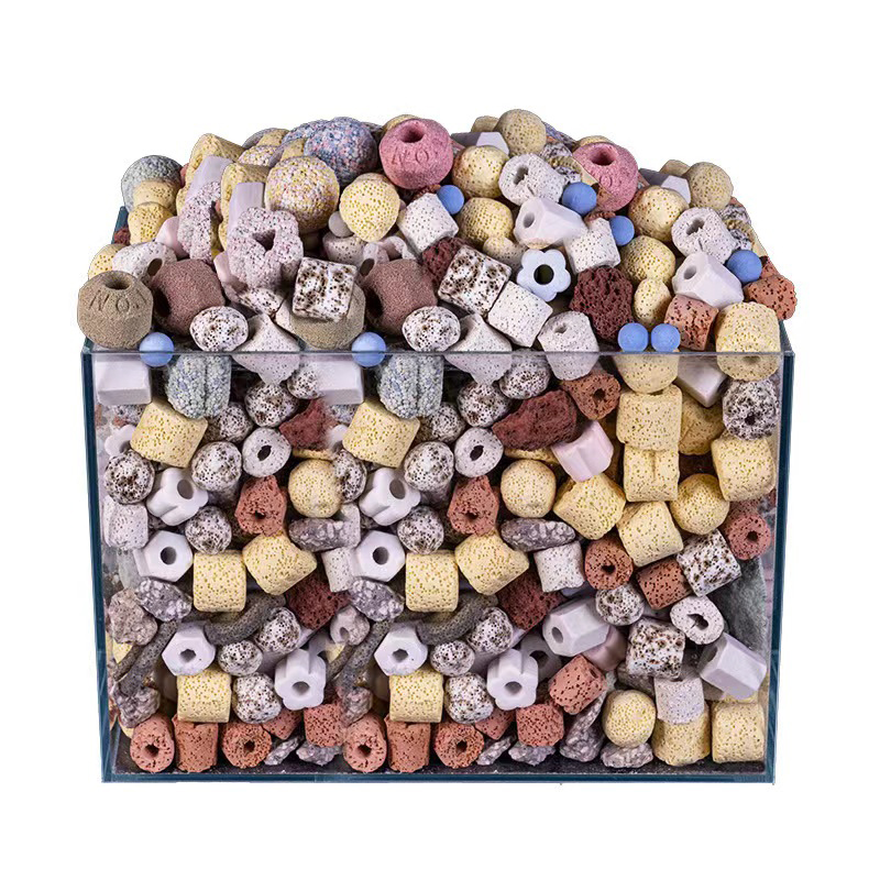 250g 500g 1000g 14 Types Aquar - Aquarium Fish For Sale のレビューと価格