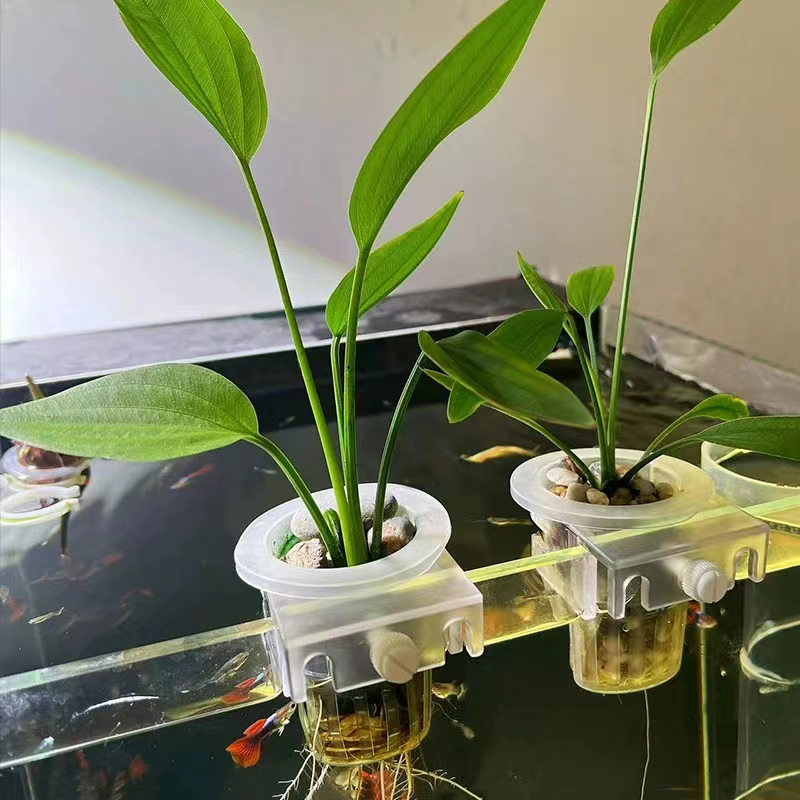 Aquarium Planting Basket Hydro - Aquarium Fish Elevator のレビューと価格
