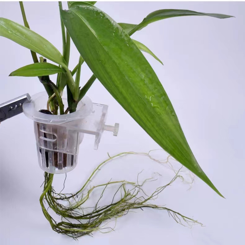 Aquarium Planting Basket Hydro - Aquarium Fish Elevator のレビューと価格