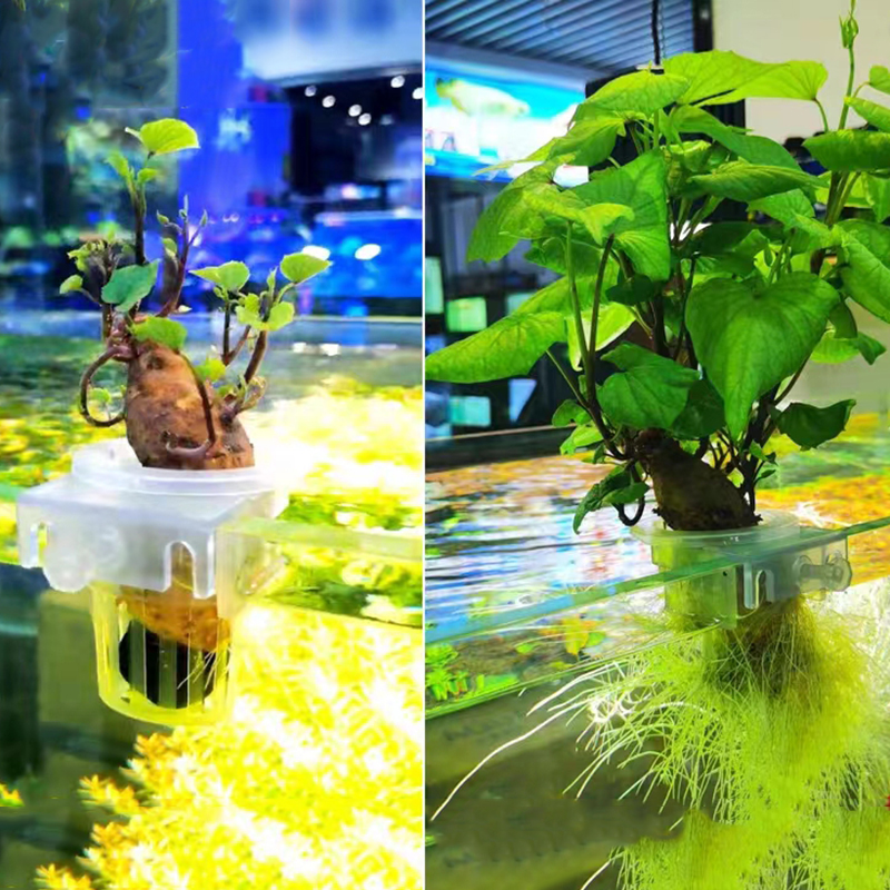 Aquarium Planting Basket Hydro - Aquarium Fish Elevator のレビューと価格